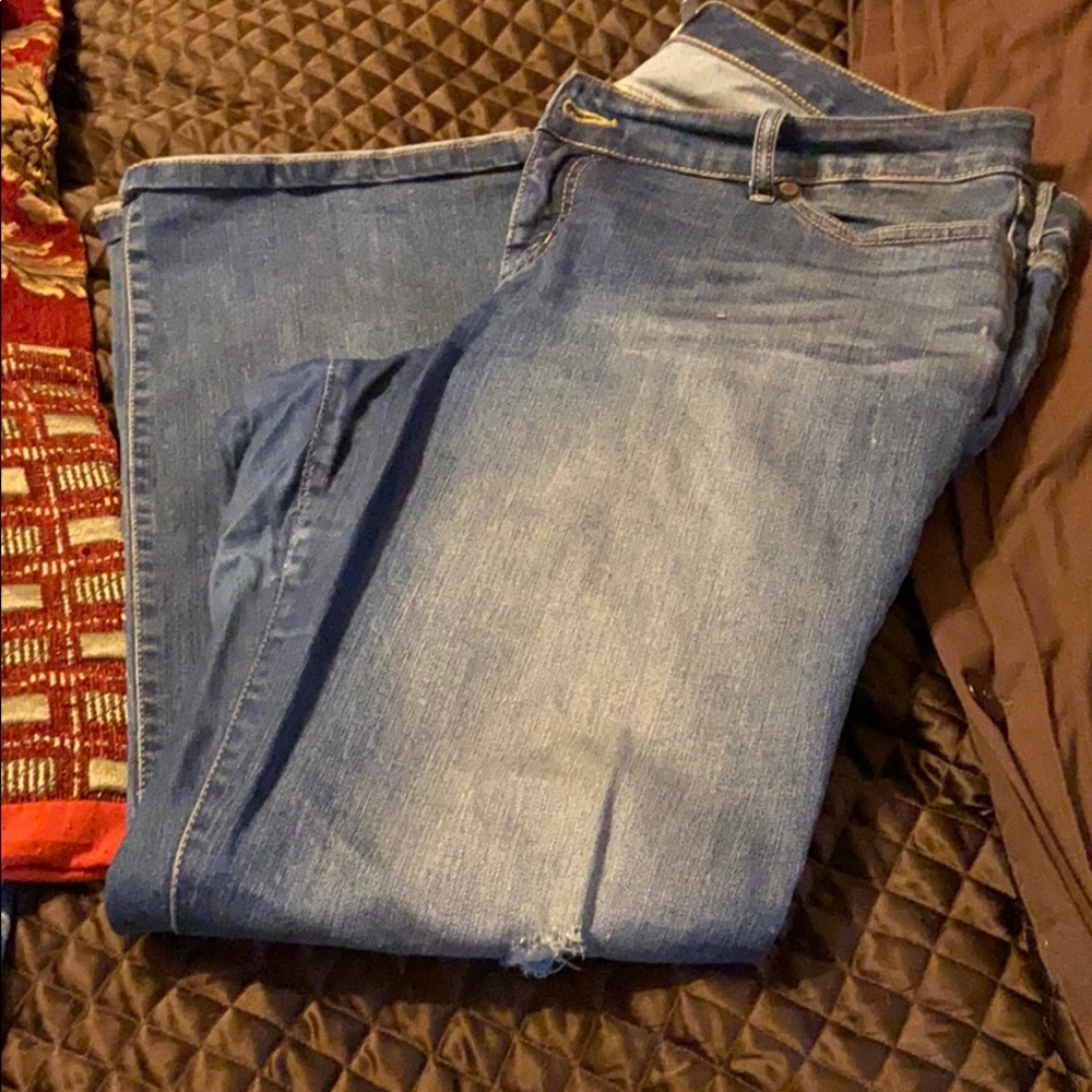 Torrid jeans